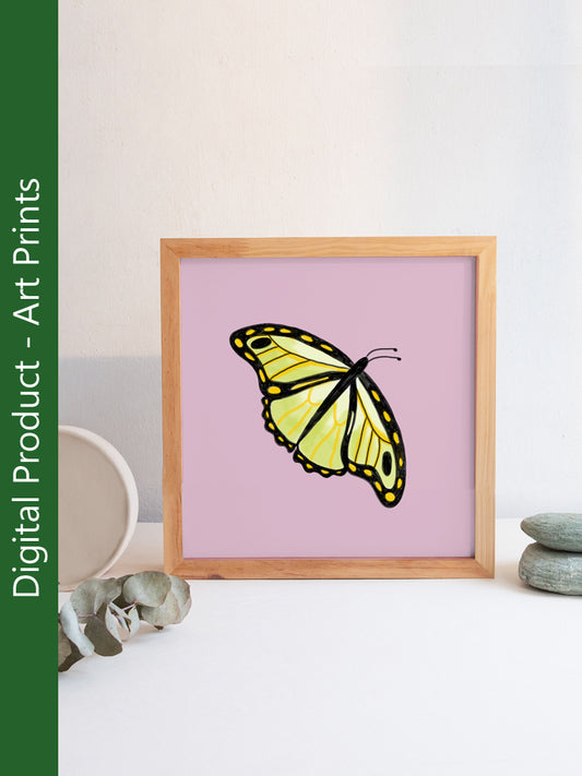 Digital Illustration Butterfly Set