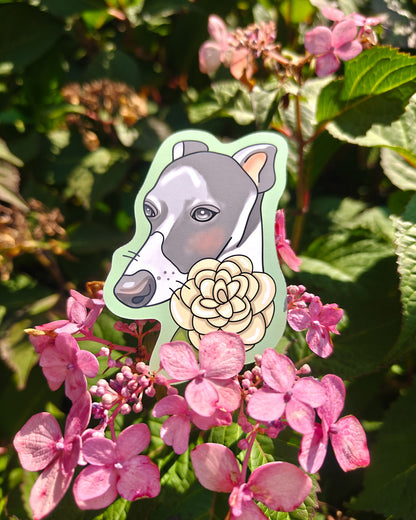 Gray Italian Greyhound Vinyl Sticker