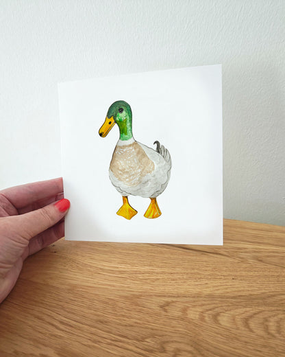 Watercolor of Mallard Duck Art Print – 5x5 Wildlife Wall Decor