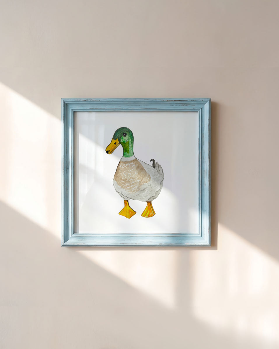 Watercolor of Mallard Duck Art Print – 5x5 Wildlife Wall Decor